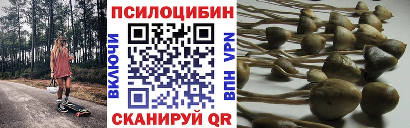 Галлюциногенные грибы мухоморы Александровск-Сахалинский